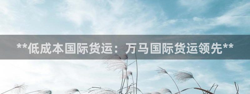 尊龙现金：**低成本国际货运：万马国际货运领先**