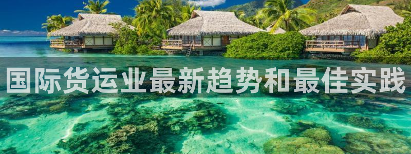 尊龙ag旗舰厅下载：国际货运业最新趋势和最佳实践