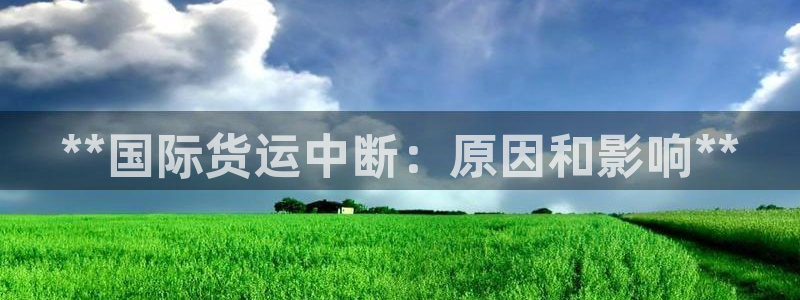 尊龙ag旗舰厅官网·(中国)官方入口：**国际货运中断：