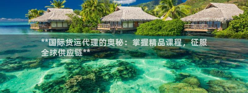 尊龙用现金一下可靠送38元：**国际货运代理的奥秘：掌握