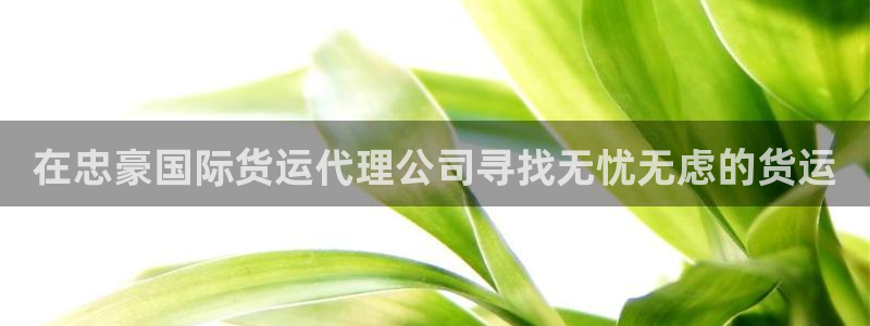 尊龙d88官网可靠送38元：在忠豪国际货运代理公司寻找无