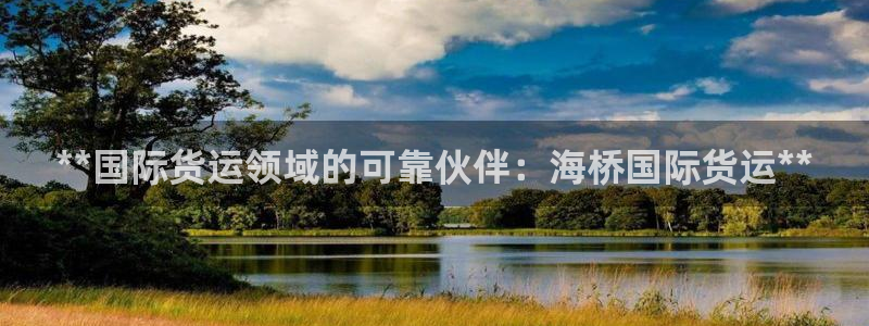 尊龙凯时提款冻卡吗：**国际货运领域的可靠伙伴：海桥国际