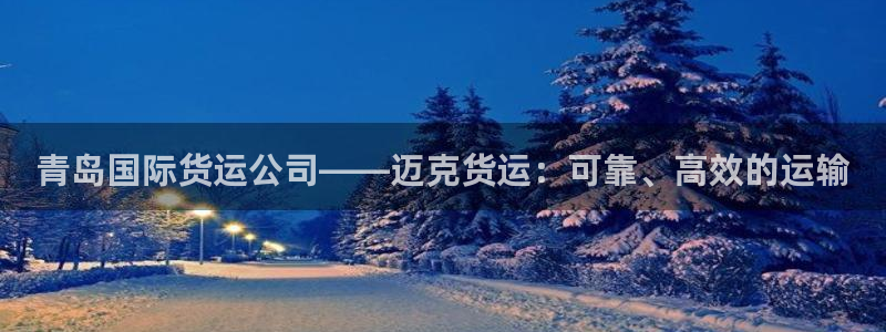 尊龙凯时捕鱼游戏能玩吗：青岛国际货运公司——迈克货运：可