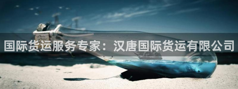 尊龙凯时人生就博：国际货运服务专家：汉唐国际货运有限公司
