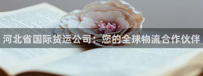 尊龙人生就是博ag：河北省国际货运公司：您的全球物流合作