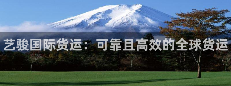尊龙内地：艺骏国际货运：可靠且高效的全球货运
