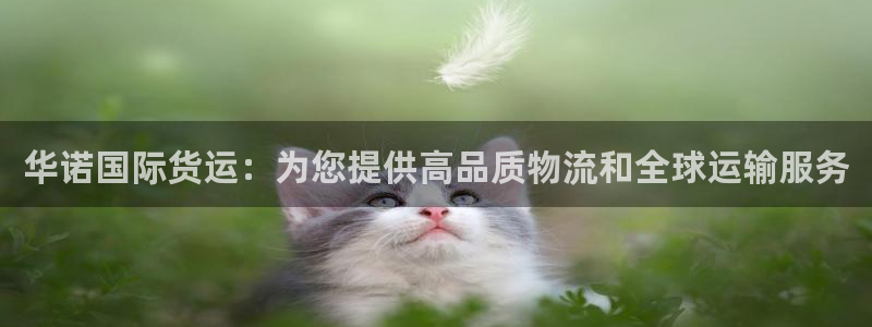 尊龙 5：华诺国际货运：为您提供高品质物流和全球运输服务