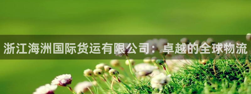 尊龙网页：浙江海洲国际货运有限公司：卓越的全球物流