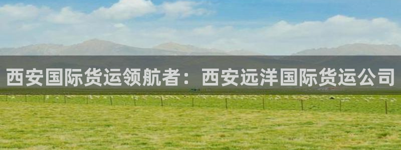 尊龙 中国：西安国际货运领航者：西安远洋国际货运公司