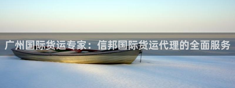 尊龙凯时代理佣金发不发：广州国际货运专家：信邦国际货运代