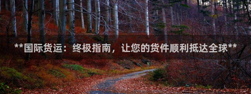 尊龙人生就是博手机版下载：**国际货运：终极指南，让您的