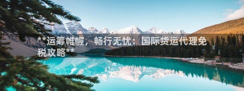 尊龙t500和t300区别：**运筹帷幄，畅行无忧：国际