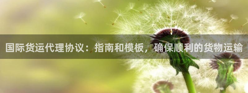 尊龙 6：国际货运代理协议：指南和模板，确保顺利的货物运