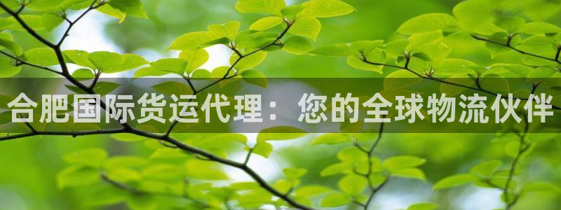 尊龙人生就是博客服：合肥国际货运代理：您的全球物流伙伴