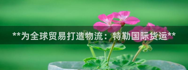 尊龙网址苹果版下载：**为全球贸易打造物流：特勒国际货运