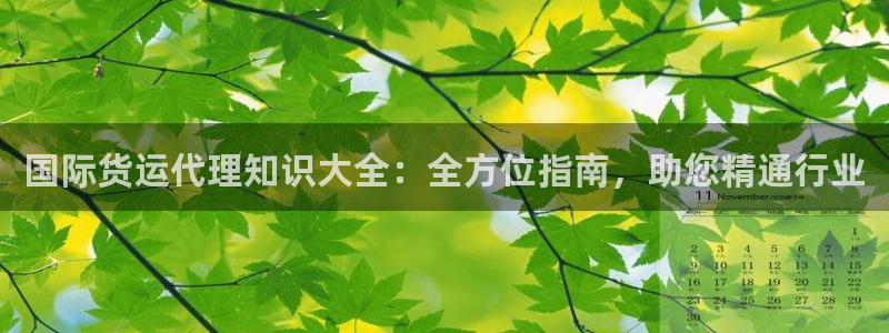 尊龙凯时人生就是博·(中国)官网：国际货运代理知识大全：