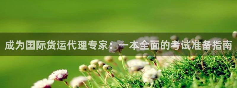 尊龙凯时不朽情缘：成为国际货运代理专家：一本全面的考试准