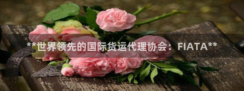 尊龙凯时 - 人生就是搏!：**世界领先的国际货运代理协
