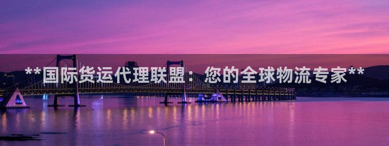 尊龙棋牌旗舰店：**国际货运代理联盟：您的全球物流专家*