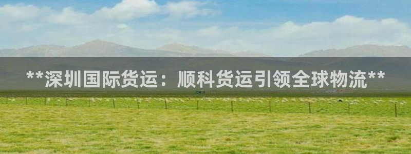 尊龙凯时开发：**深圳国际货运：顺科货运引领全球物流**