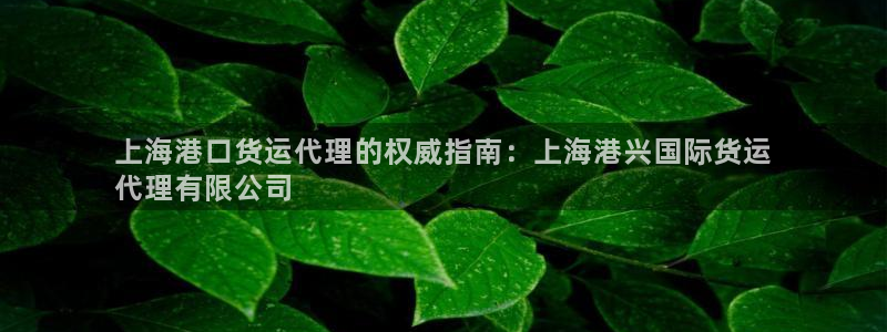 尊龙凯时不朽情缘：上海港口货运代理的权威指南：上海港兴国