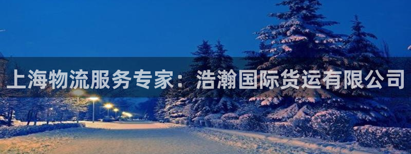 尊龙集团有限公司是国企吗：上海物流服务专家：浩瀚国际货运