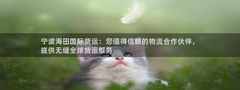 尊龙凯时游戏厅：宁波海田国际货运：您值得信赖的物流合作伙