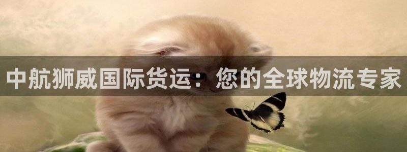 尊龙凯时是直营吗：中航狮威国际货运：您的全球物流专家