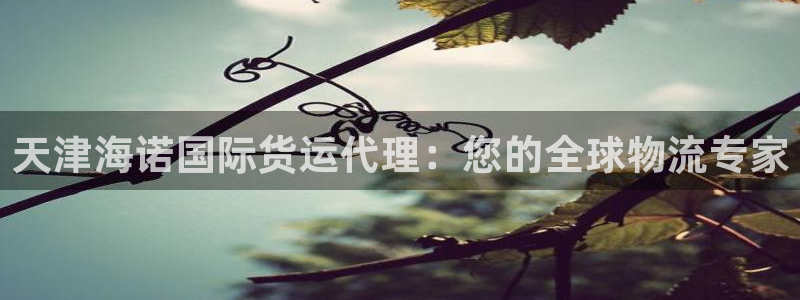 尊龙凯时充值不到账：天津海诺国际货运代理：您的全球物流专