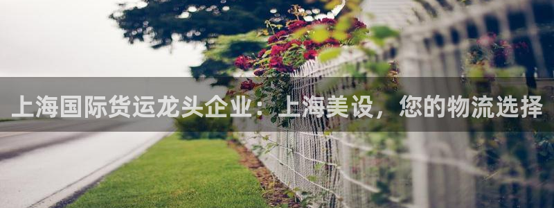 尊龙人生就是博下载：上海国际货运龙头企业：上海美设，您的