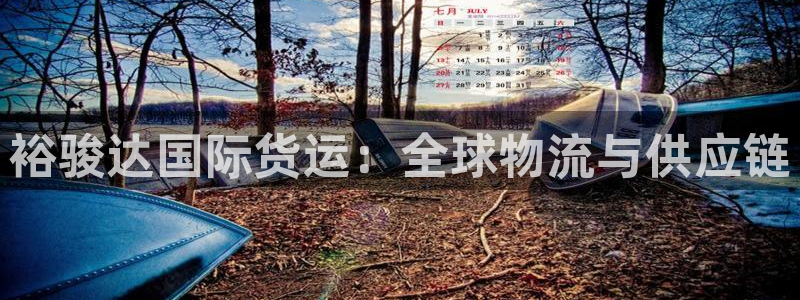 尊龙凯时人生就博：裕骏达国际货运：全球物流与供应链