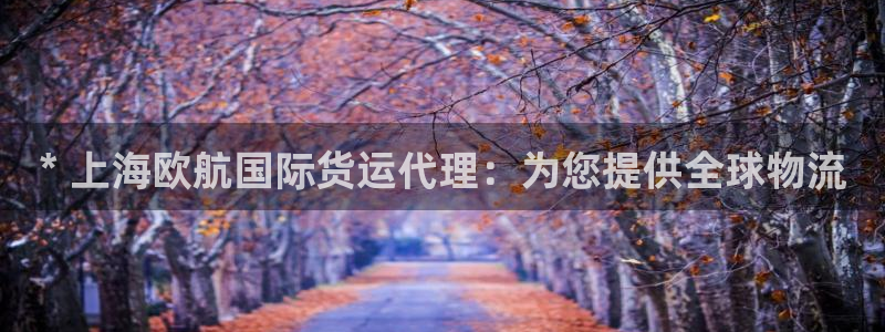 尊龙am i blue：* 上海欧航国际货运代理：为您提