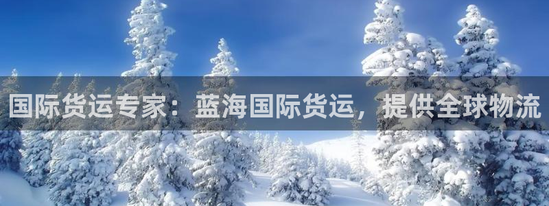 尊龙凯时产品系列：国际货运专家：蓝海国际货运，提供全球物