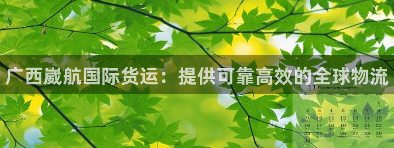 尊龙凯时登陆入口：广西崴航国际货运：提供可靠高效的全球物