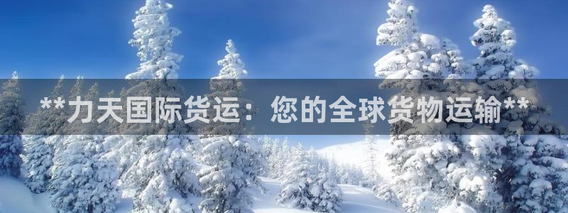 z6com尊龙凯时代理：**力天国际货运：您的全球货物运