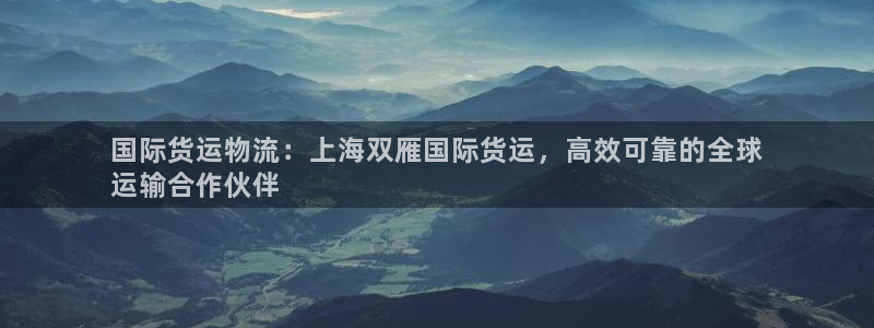 尊龙凯时开发：国际货运物流：上海双雁国际货运，高效可靠的