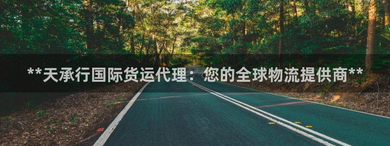尊龙人生就是博ag：**天承行国际货运代理：您的全球物流