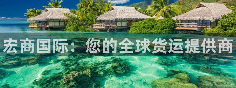 尊龙实业有限公司属于国企吗：宏商国际：您的全球货运提供商