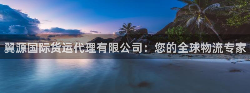 尊龙凯时产品系列：翼源国际货运代理有限公司：您的全球物流