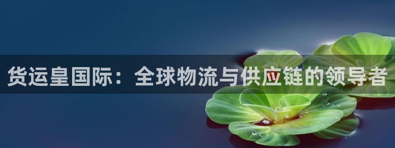 尊龙凯时logo：货运皇国际：全球物流与供应链的领导者