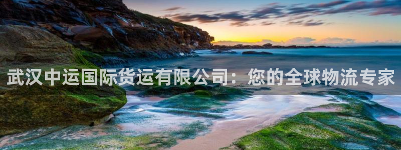 z6com尊龙凯时：武汉中运国际货运有限公司：您的全球物
