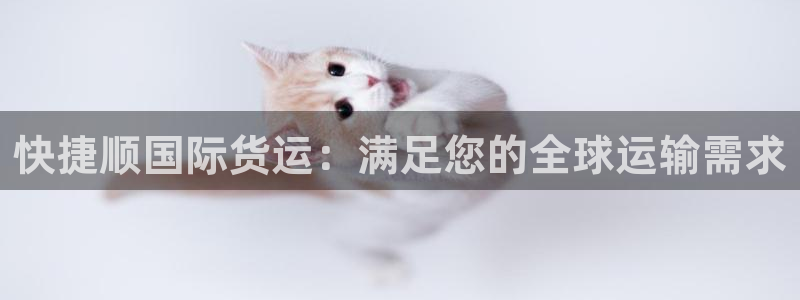 尊龙凯时人生就是博中国官网：快捷顺国际货运：满足您的全球