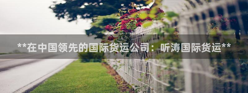 尊龙凯时平台信誉怎样：**在中国领先的国际货运公司：听涛