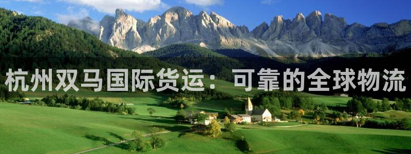 尊龙2016：杭州双马国际货运：可靠的全球物流