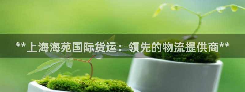 尊龙官网/首选kpm：**上海海苑国际货运：领先的物流提