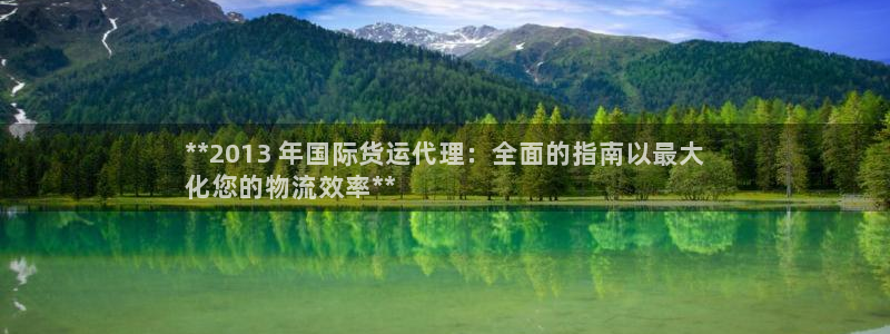 尊龙ag：**2013 年国际货运代理：全面的指南以最大