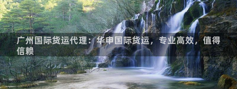 尊龙d88平台：广州国际货运代理：华申国际货运，专业高效