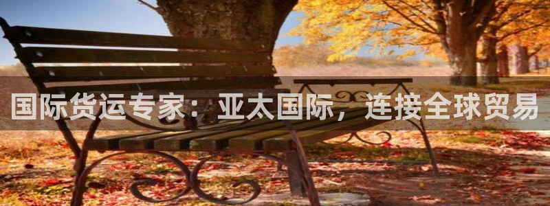 尊龙凯时有假么：国际货运专家：亚太国际，连接全球贸易