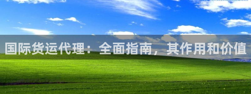 尊龙凯时美金能提取吗：国际货运代理：全面指南，其作用和价