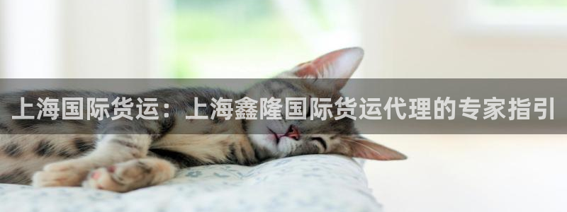 尊龙内地：上海国际货运：上海鑫隆国际货运代理的专家指引